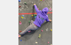 Sweat capuche violet